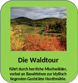 Waldtour